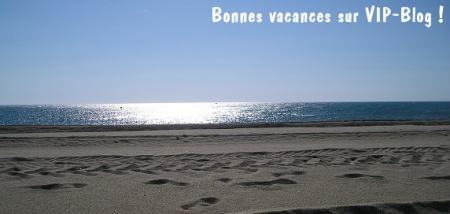 Bonnes vacances sur VIP-Blog !